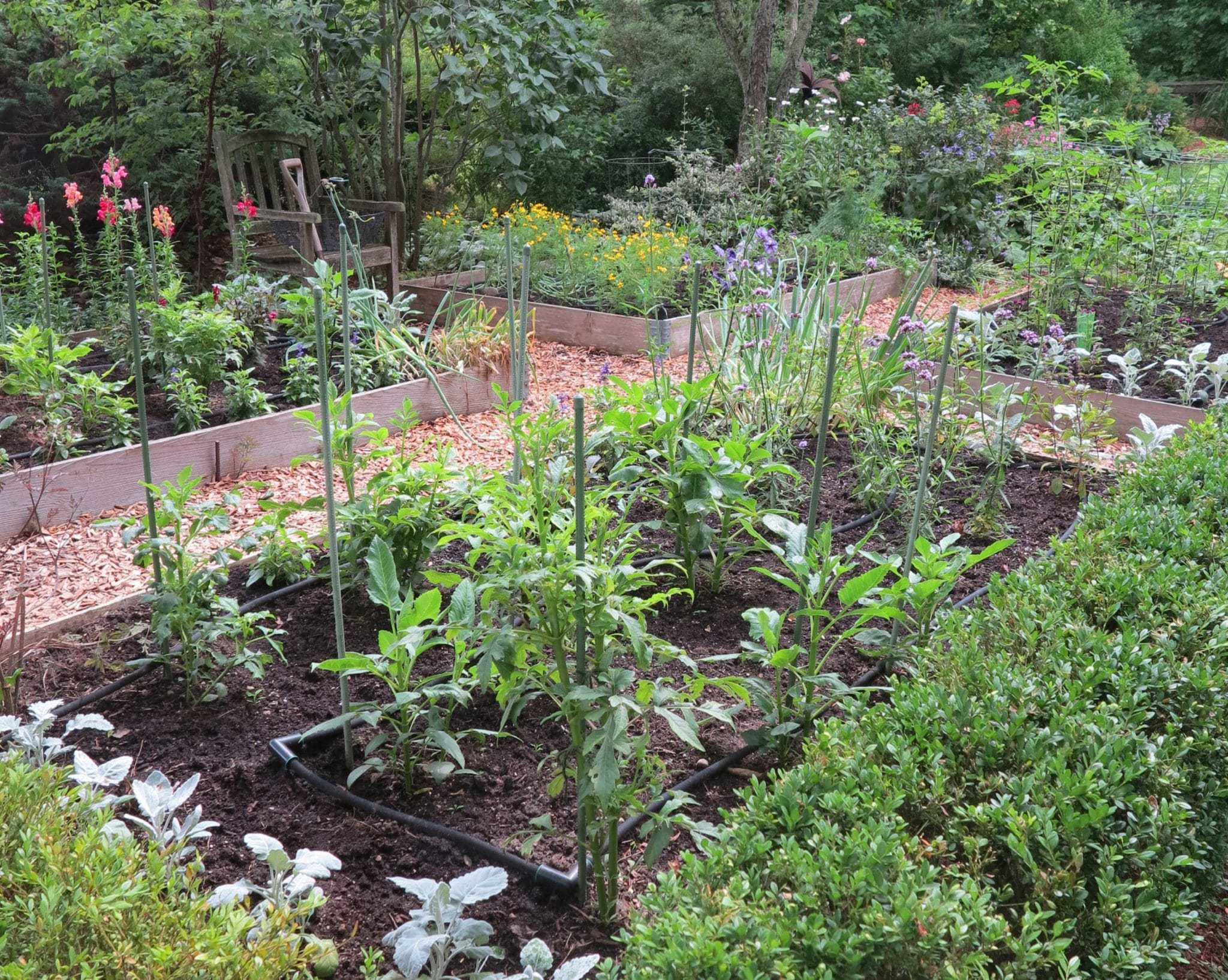 Raised beds