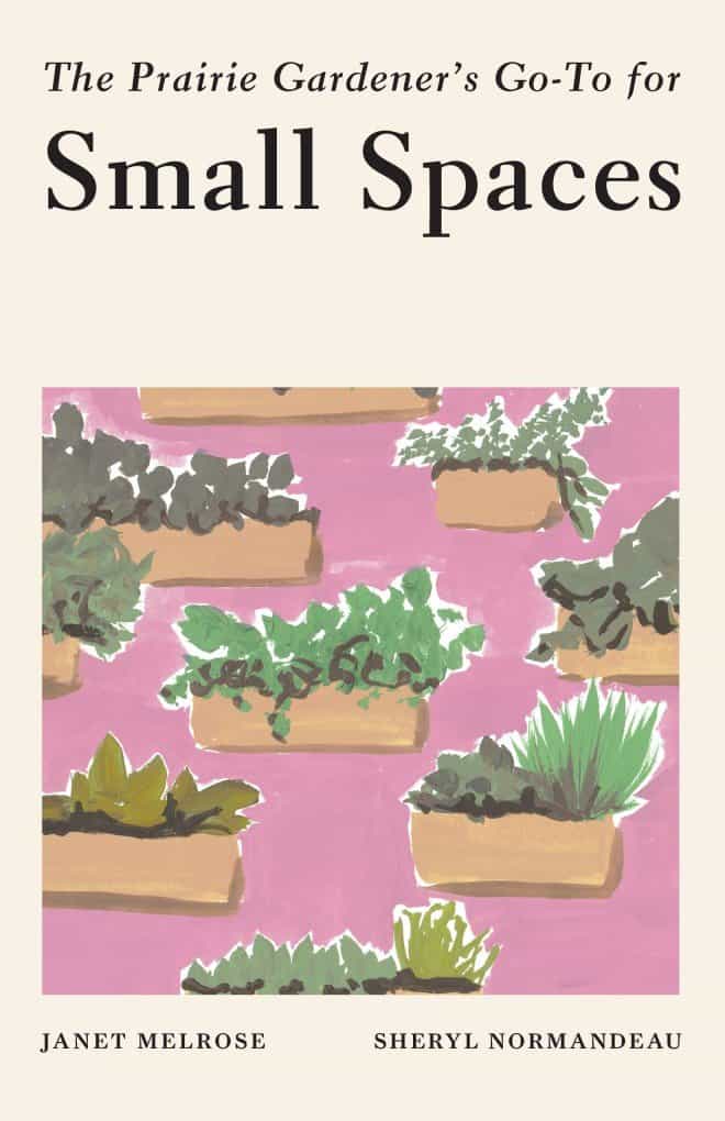 Prairie Gardener's Go To for Small Spaces