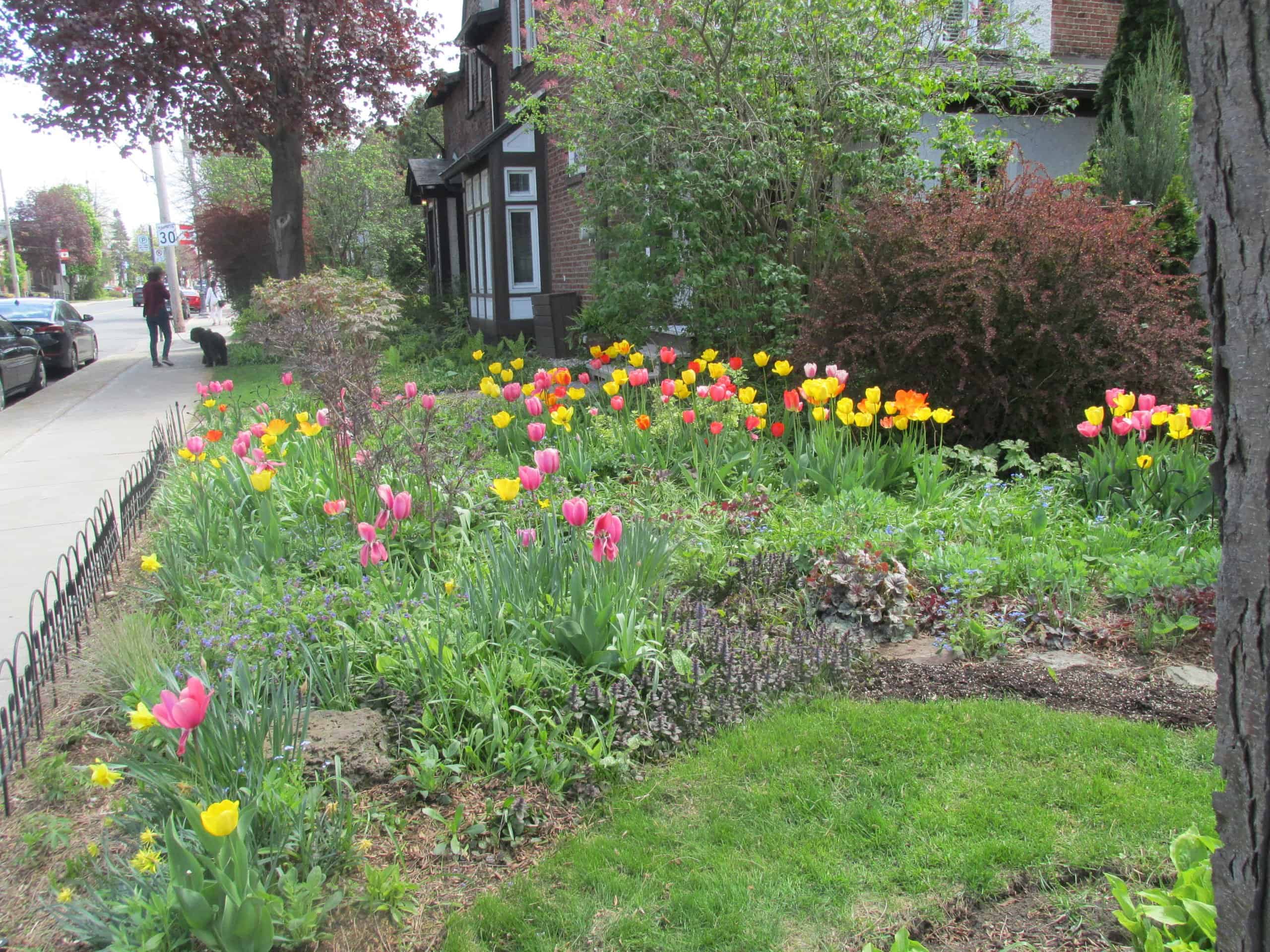 Montreal-spring-garden