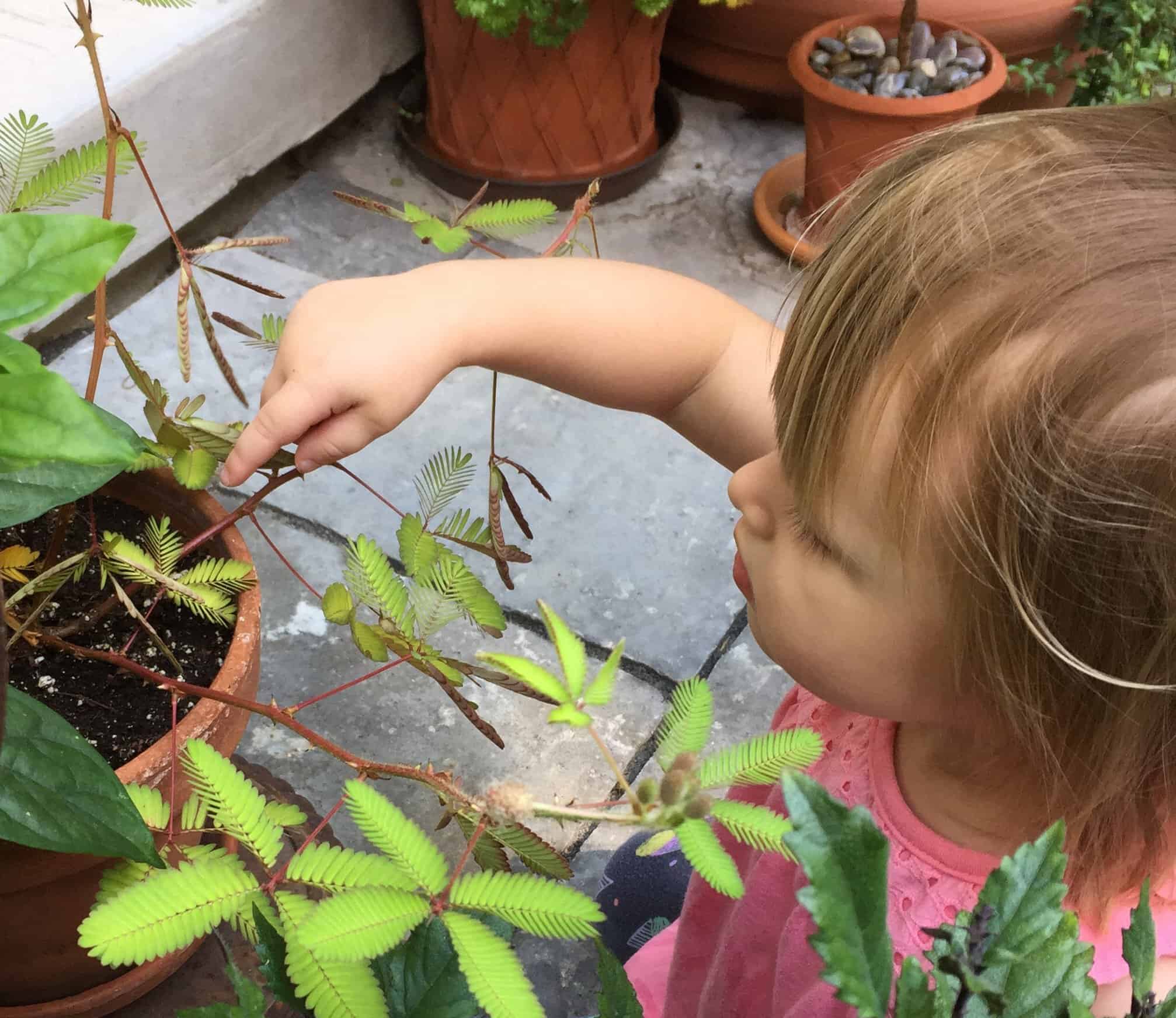 inspiring potential gardeners