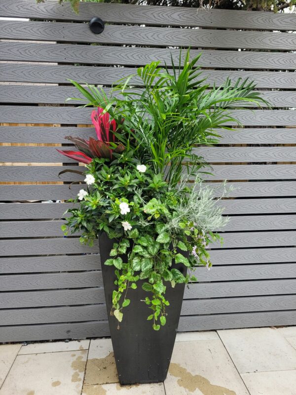 The fine texture of Majesty Palm, vivid colour contrast of  Cordyline 'Red Sister', and silver accents of artemisia stand out against a neutral backdrop of grey. Photo credit:  Karen Chopp 