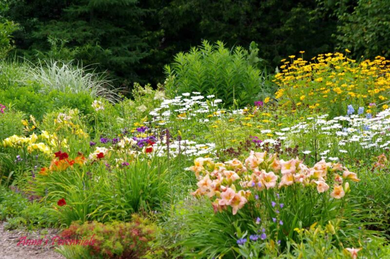 Bobcaygeon horticultural society 100th Anniversary Garden Tour