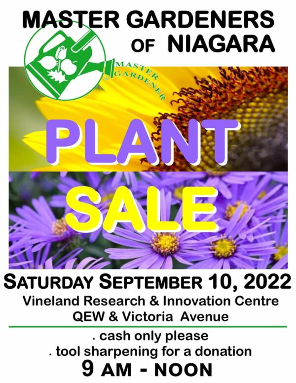 niagara plan sale sept 10 2022