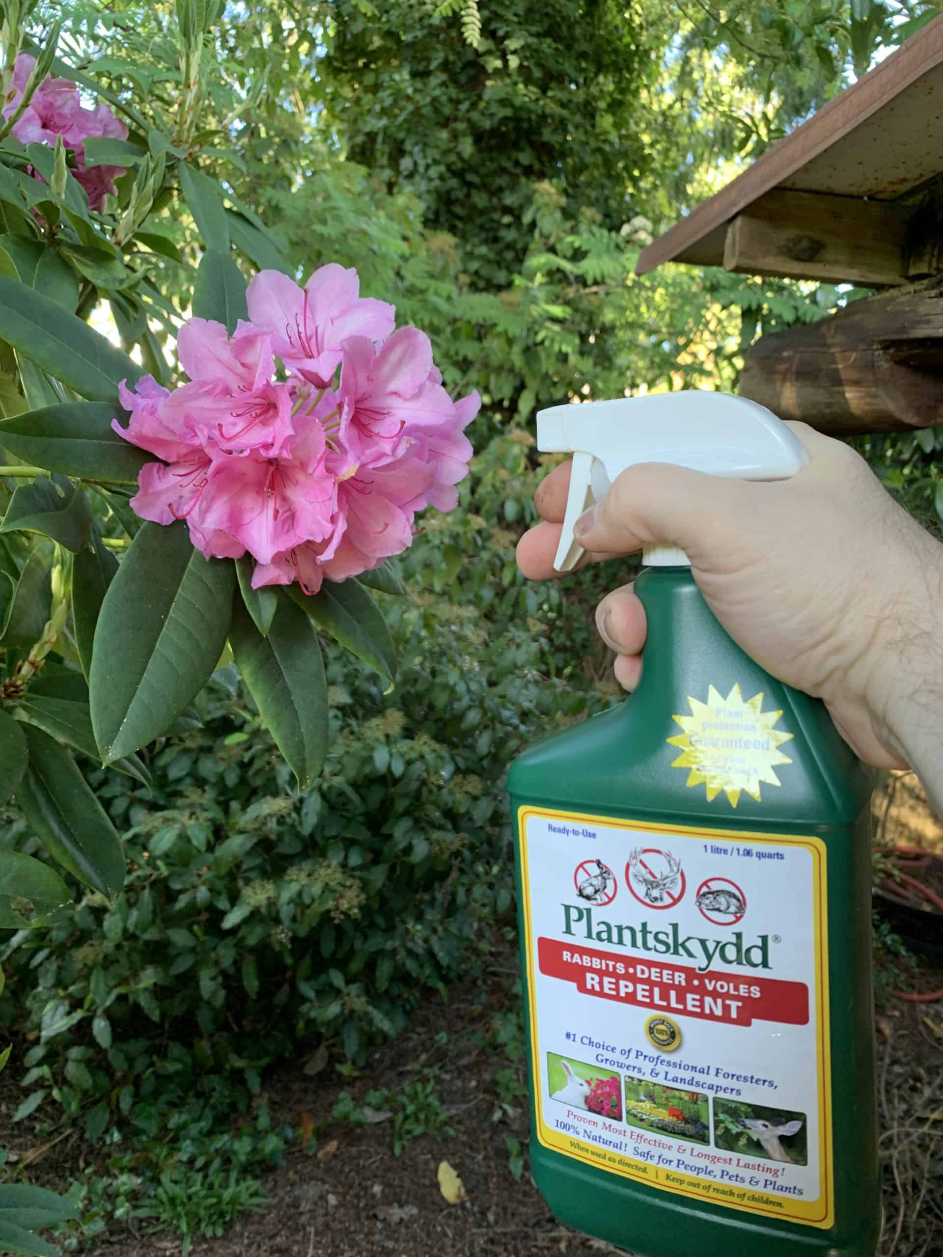 How an organic animal repellent can protect plants