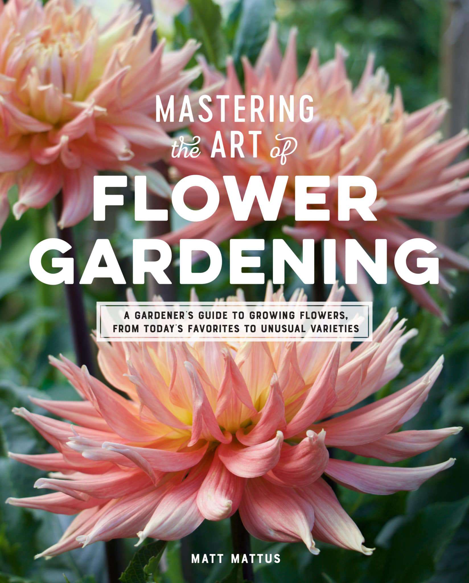 For flower gardeners, a primer from seed starting to snipping
