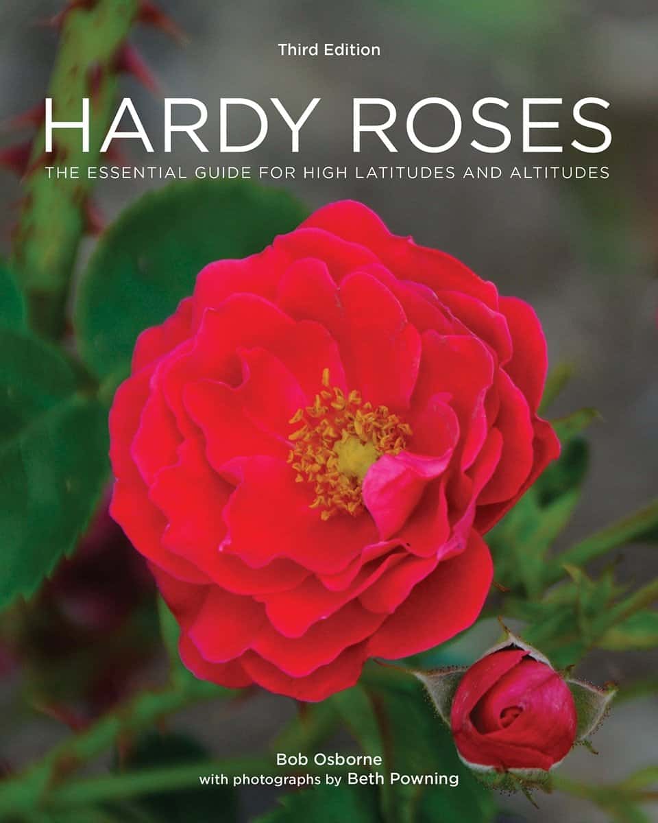 Bob Osborne updates Hardy Roses guide