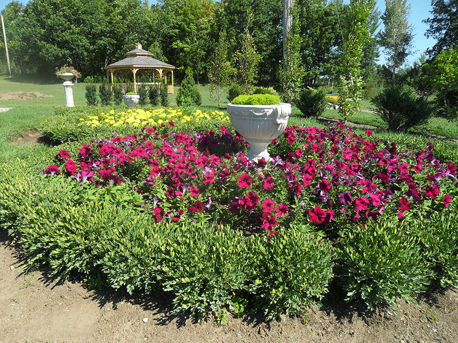 The formal knot garden is one of 25 gardens at Quinte Botanical Gardens.