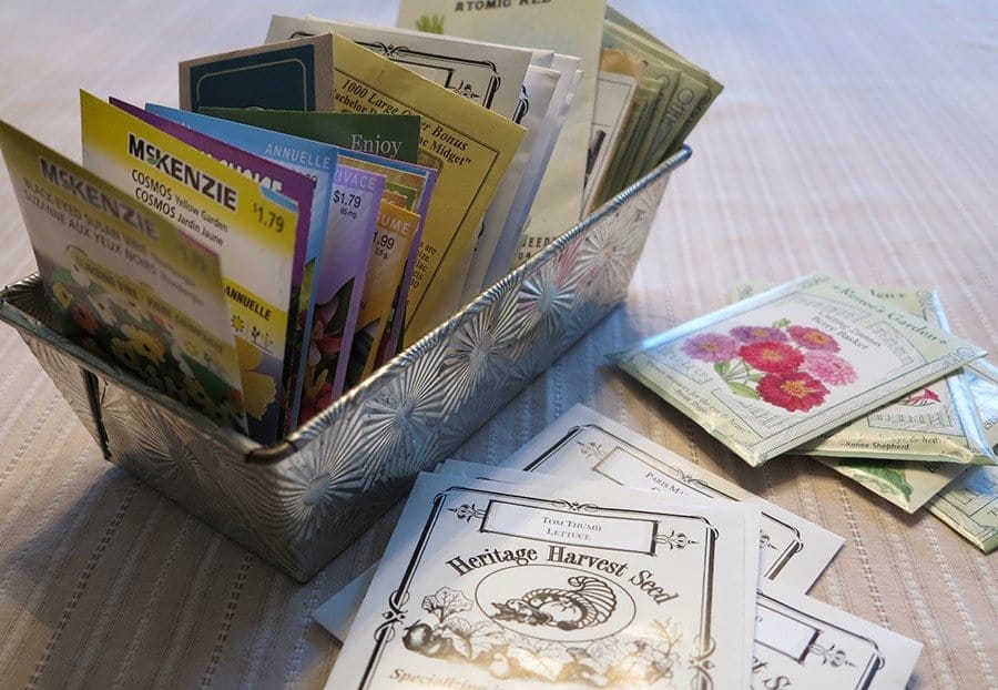 seeds in tin