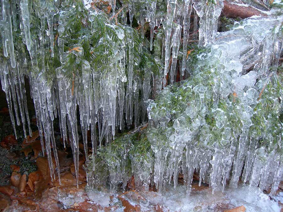 The beauty and burden of snow