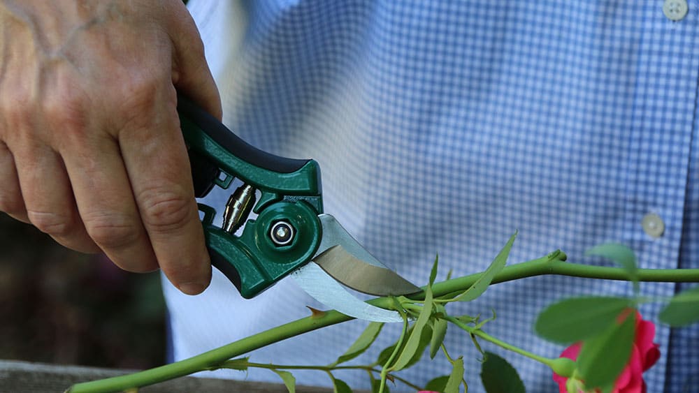 How to care for garden tools