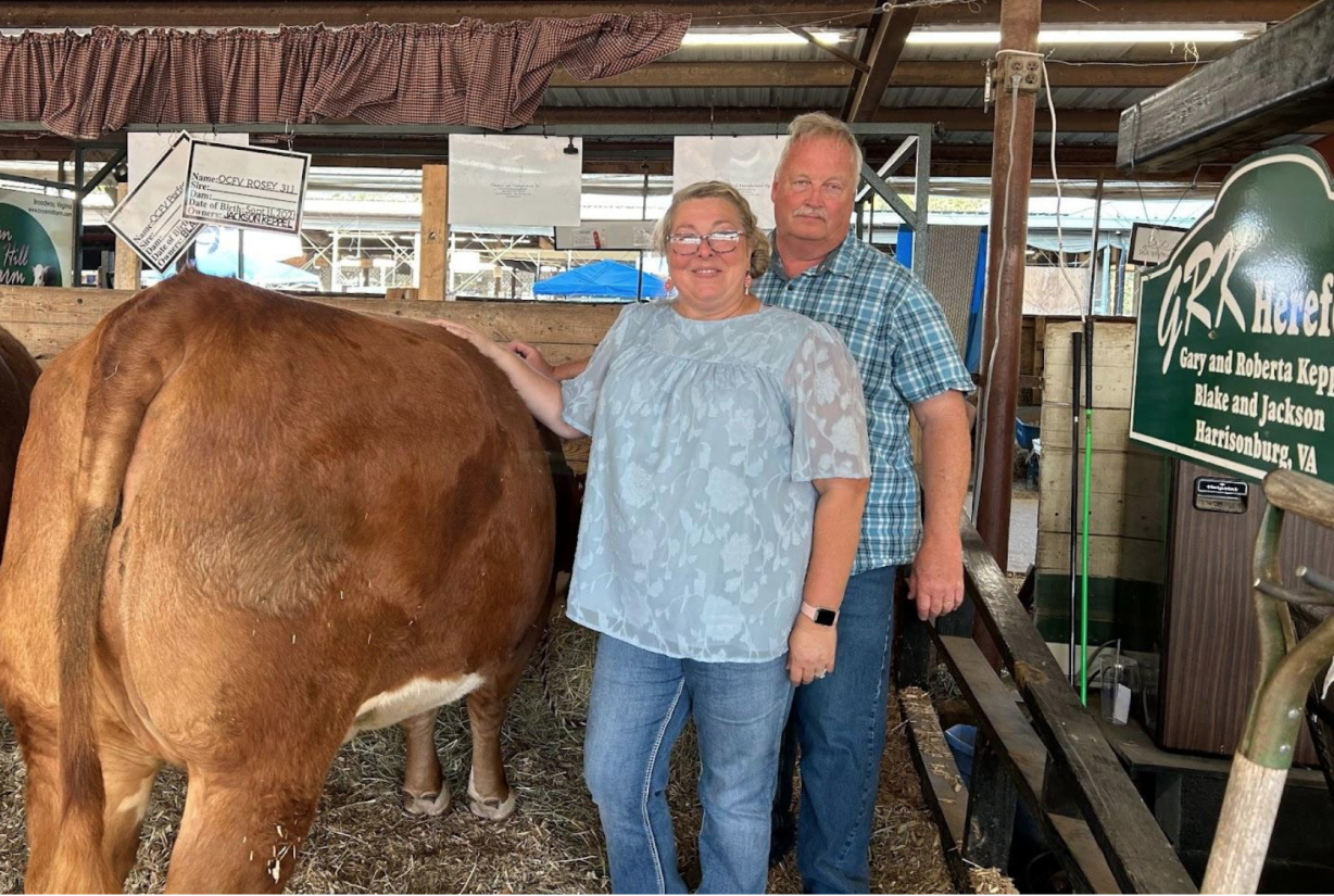 Two people stand next to a cow in a stall