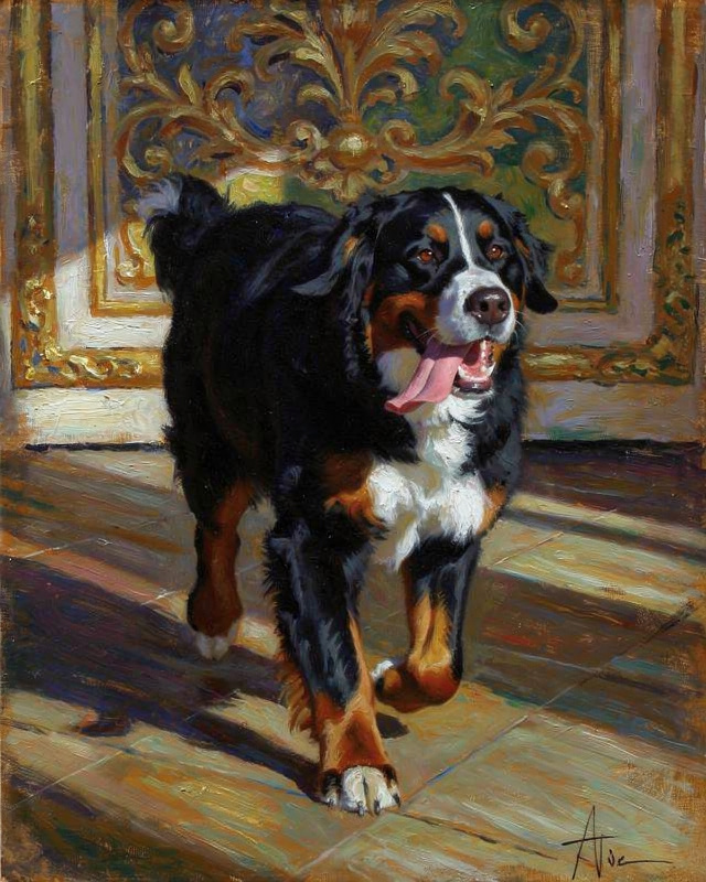 Portrait of a Bernese mountain dog