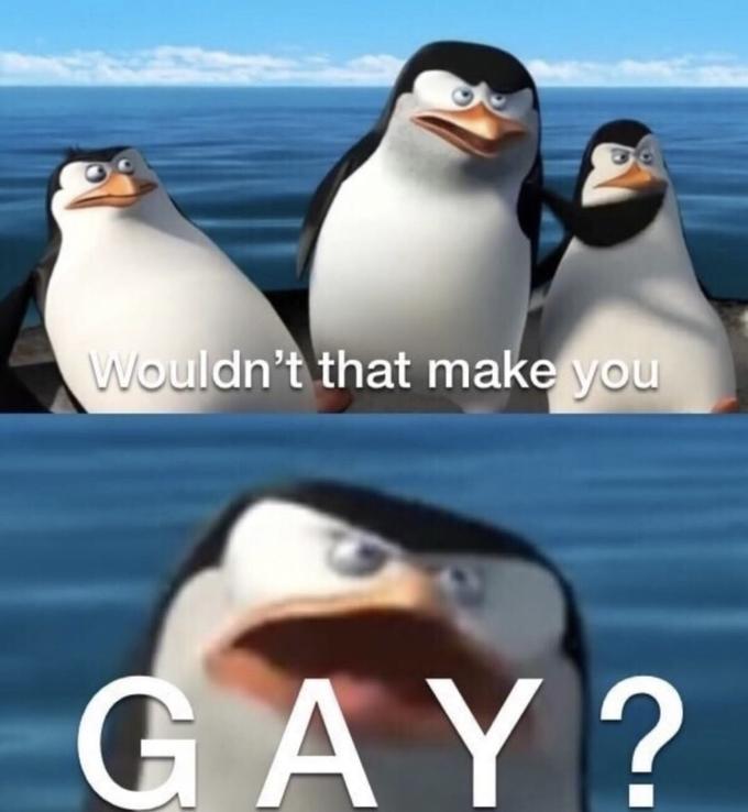 wouldnt that make you gay meme