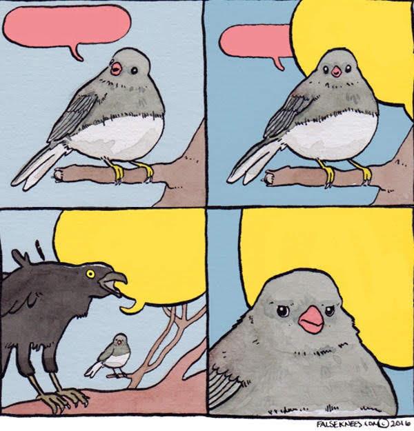 Annoyed Bird Meme and Creator