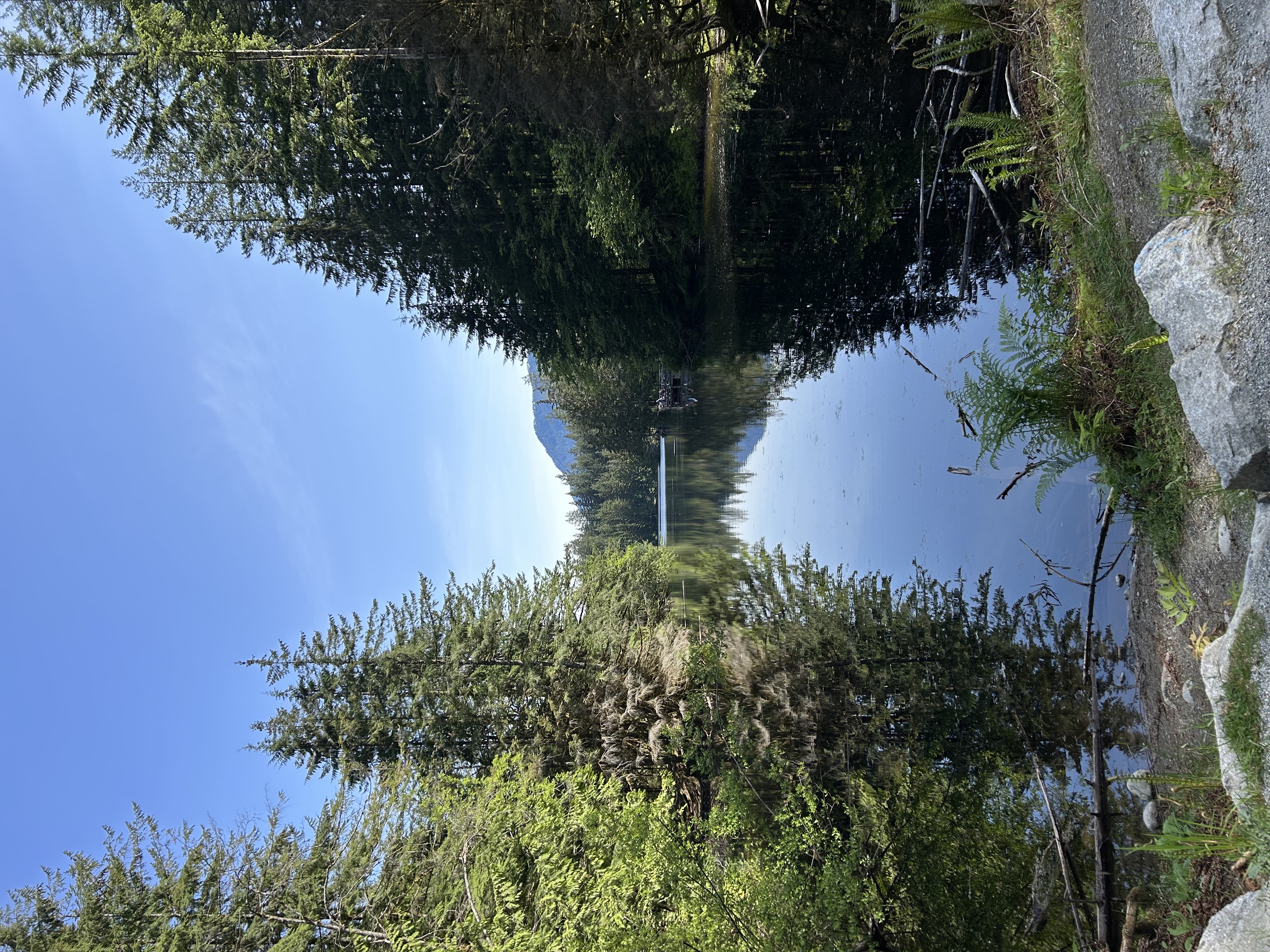 End of the Line General Store image 4