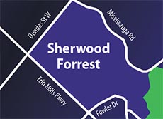 Sherwood Forrest