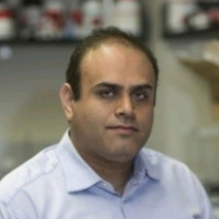 Ali Rohani