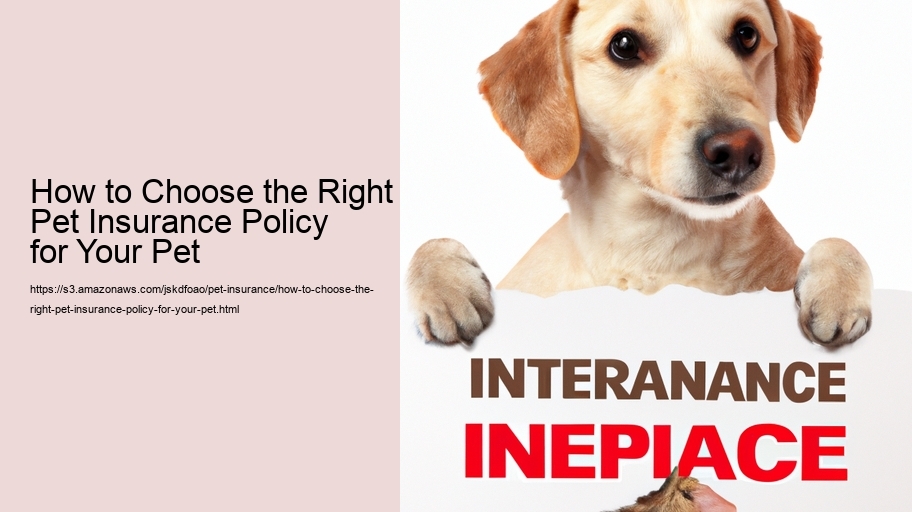 How to Choose the Right Pet Insurance Policy for Your Pet