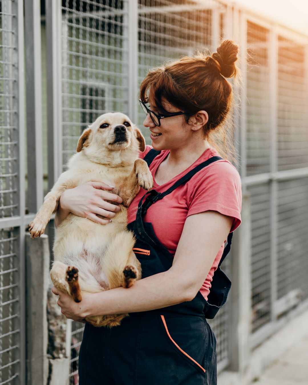 Making a positive impact on the community by choosing adoption over buying from breeders