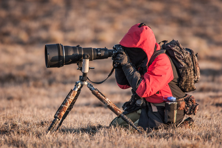 Exploring the Great Outdoors: A Guide to Nature Photography