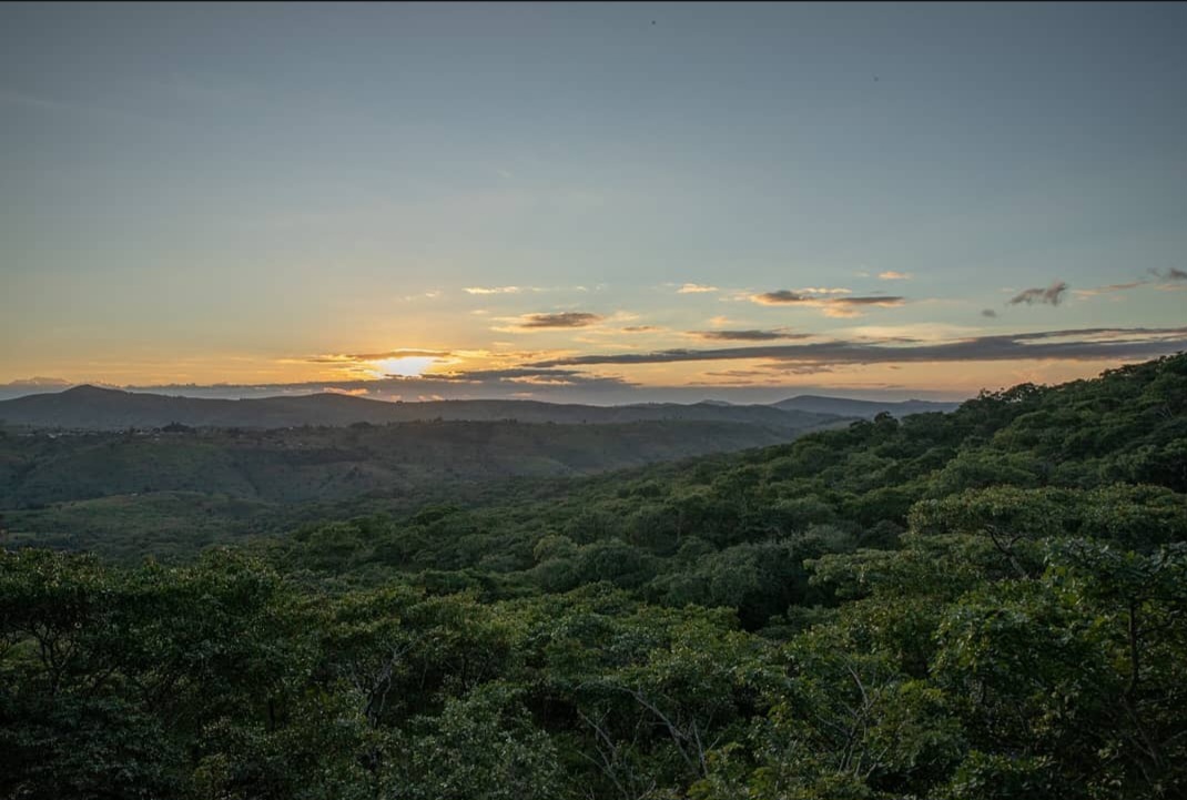 Ntchisi Forest