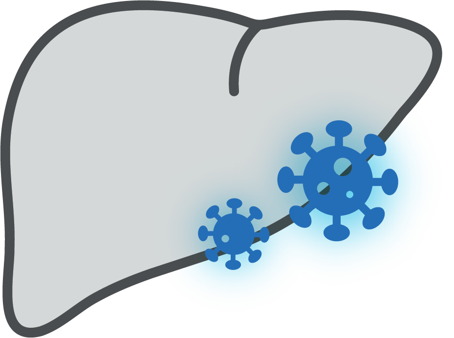 Viral Hepatitis