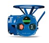 Limitorque MX Electric Actuator