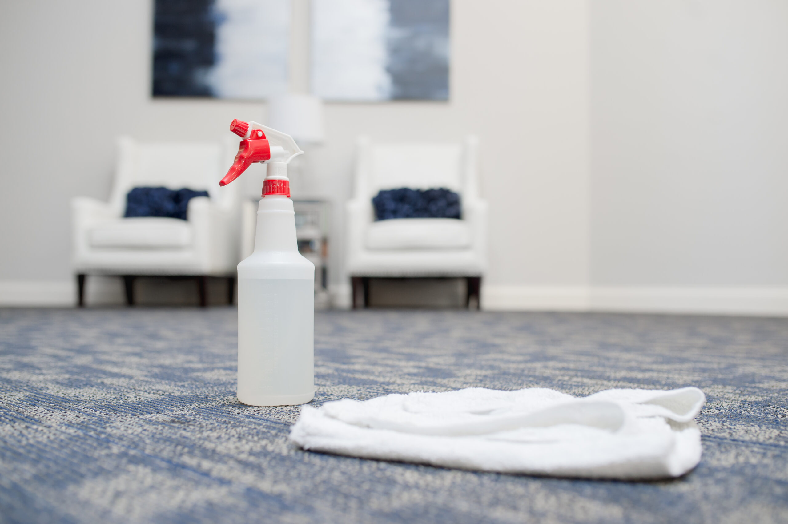 bottle and rags ready to clean carpet stains