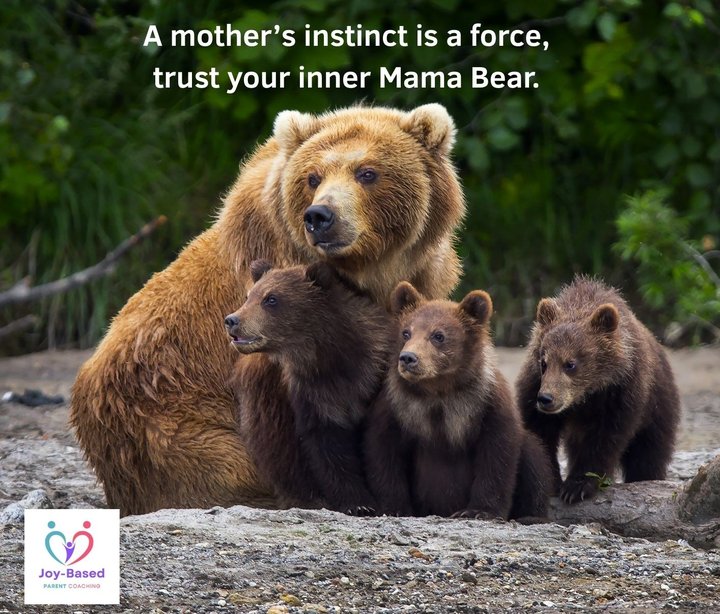 Don’t Be Afraid to Be Mama Bear by Yacova Leifert, Parenting Coach