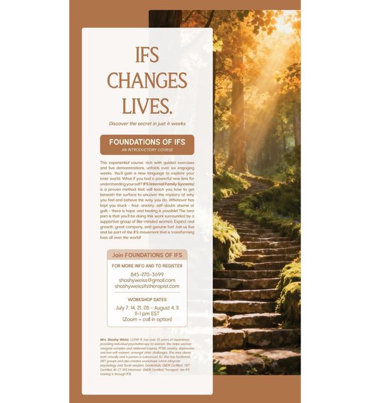 Foundations of IFS - An Introductory Course