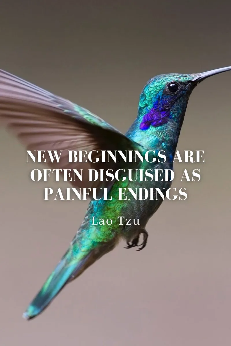 New beginnings are often disguised as painful findings. -Lao Tzu by Bracha Benshloush, LCSW, Licensed Clinical Social Worker