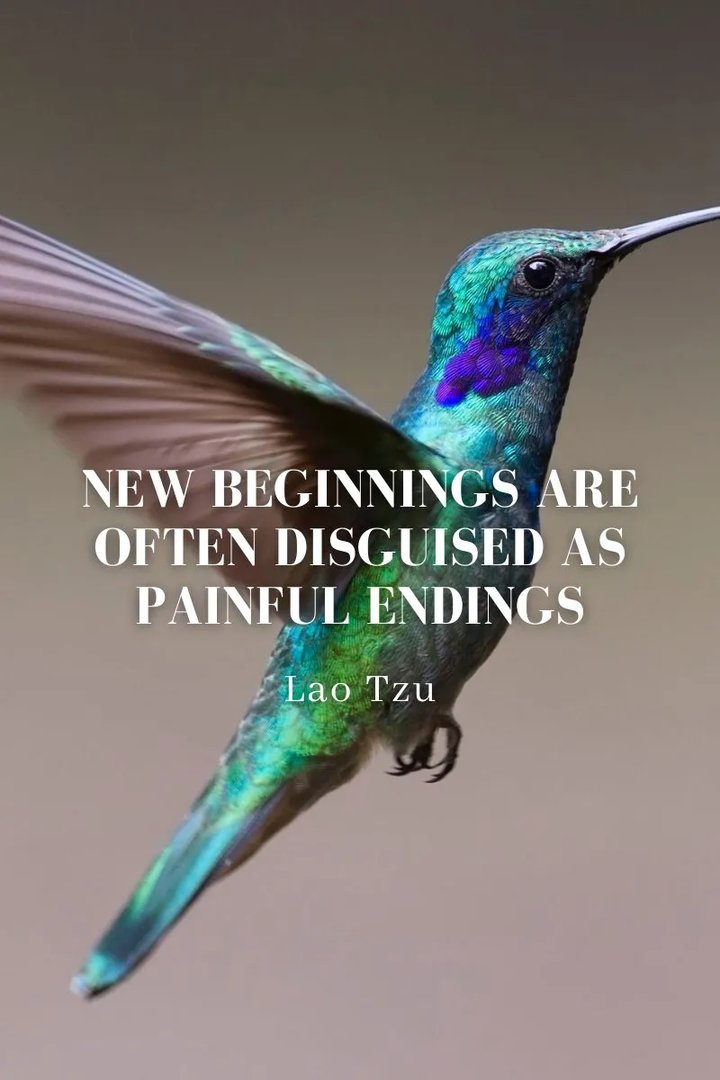New beginnings are often disguised as painful findings. -Lao Tzu by Bracha Benshloush, LCSW, Licensed Clinical Social Worker