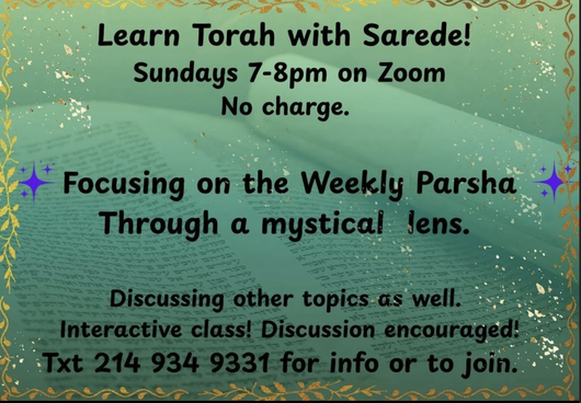 Learn Torah with Sarede