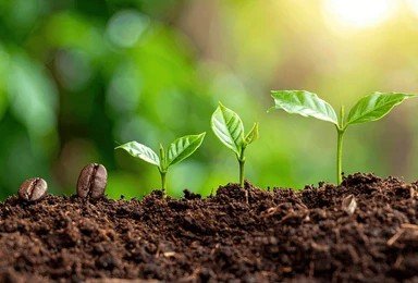 Making Change Possible by Rafi Smith, Psychotherapist, Psychotherapist