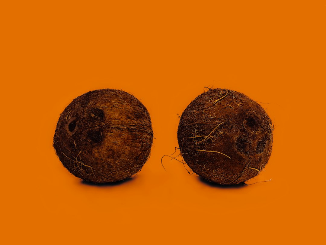 coconut embryo
