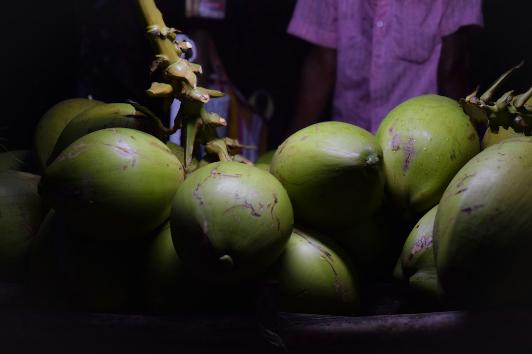 sprouted coconut online