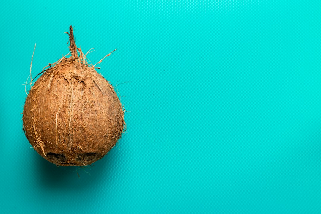buy sprouted coconut online