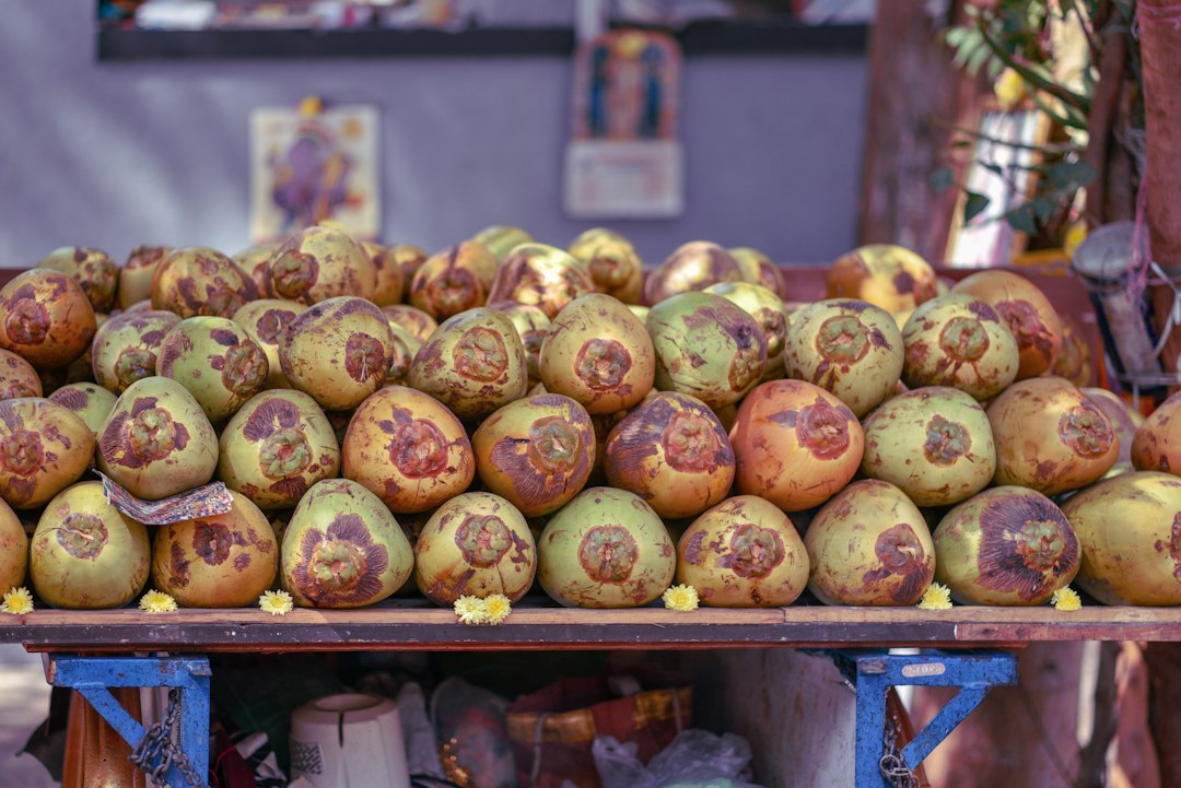 coconut sprouting process