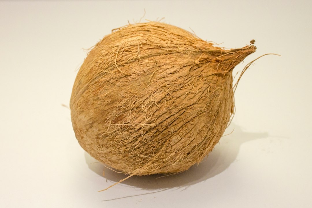 sprouted coconut meat