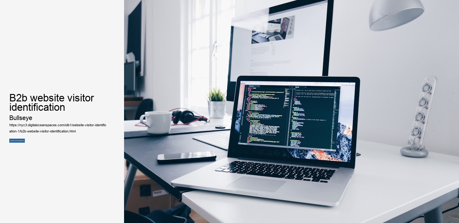 b2b website visitor identification
