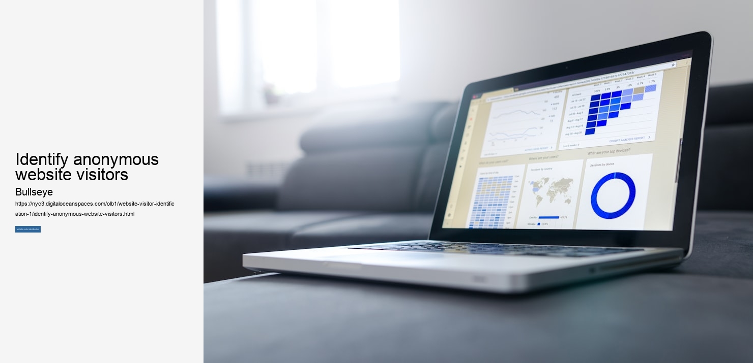 identify anonymous website visitors