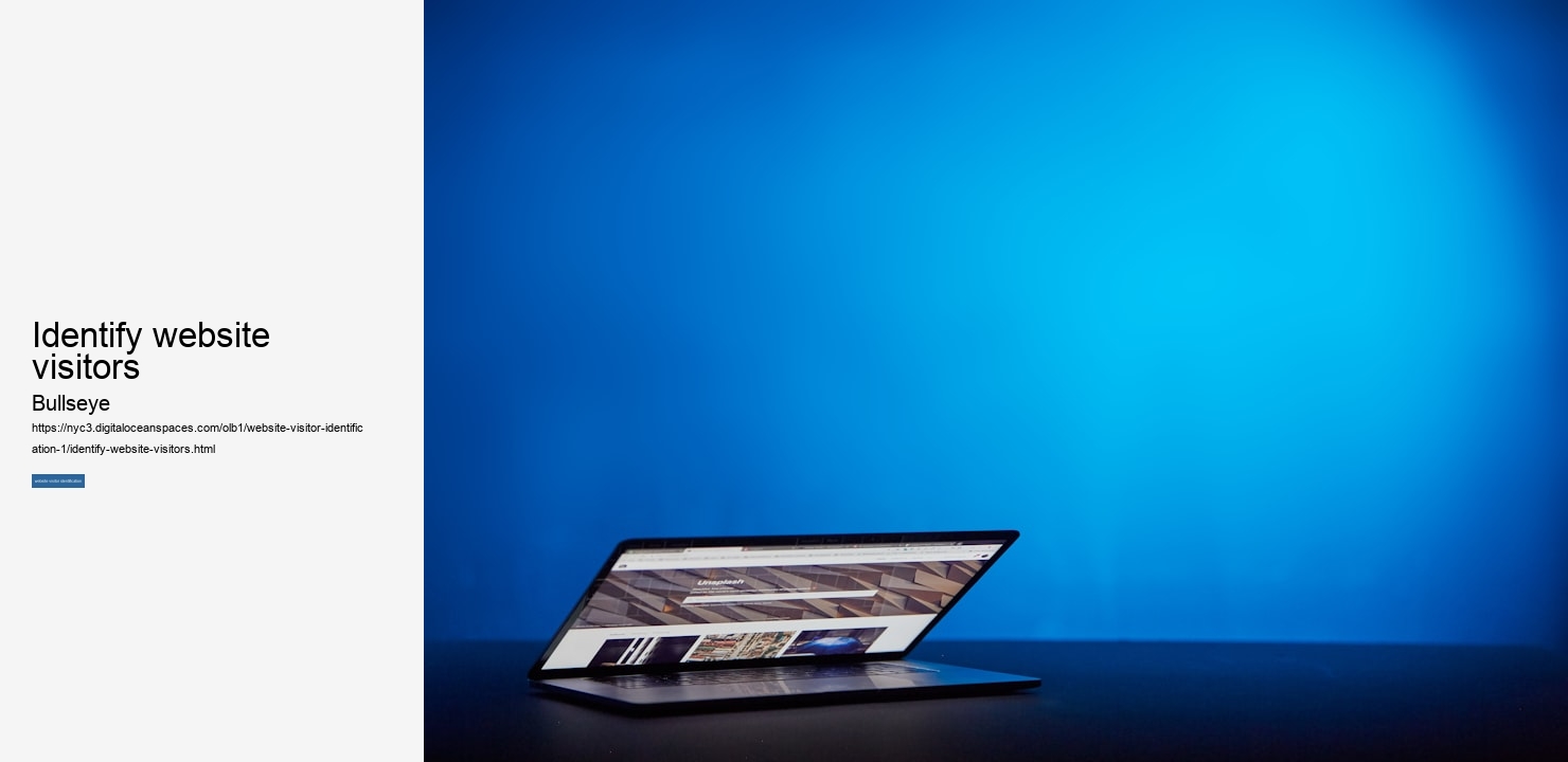 identify website visitors