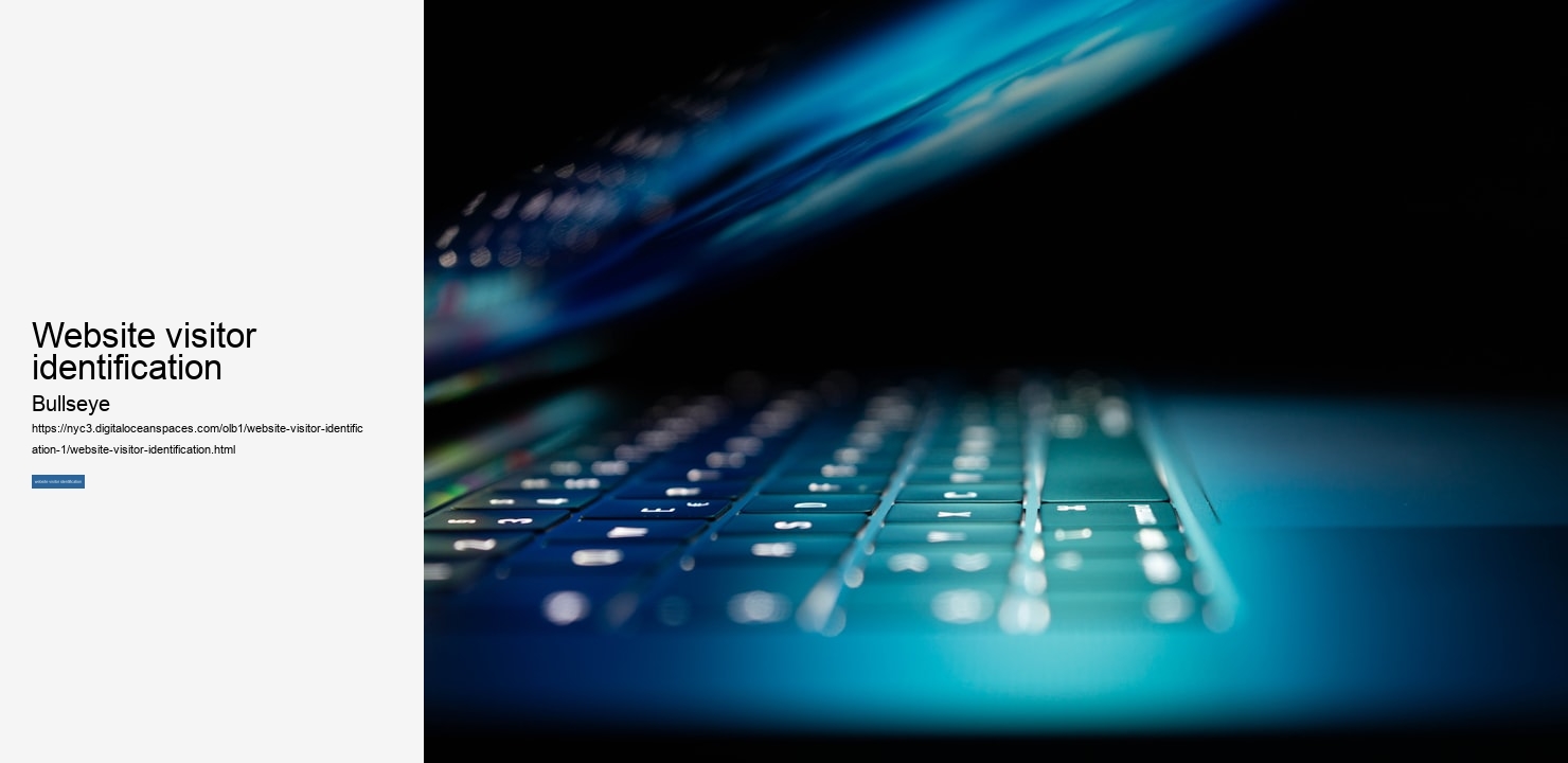 website visitor identification