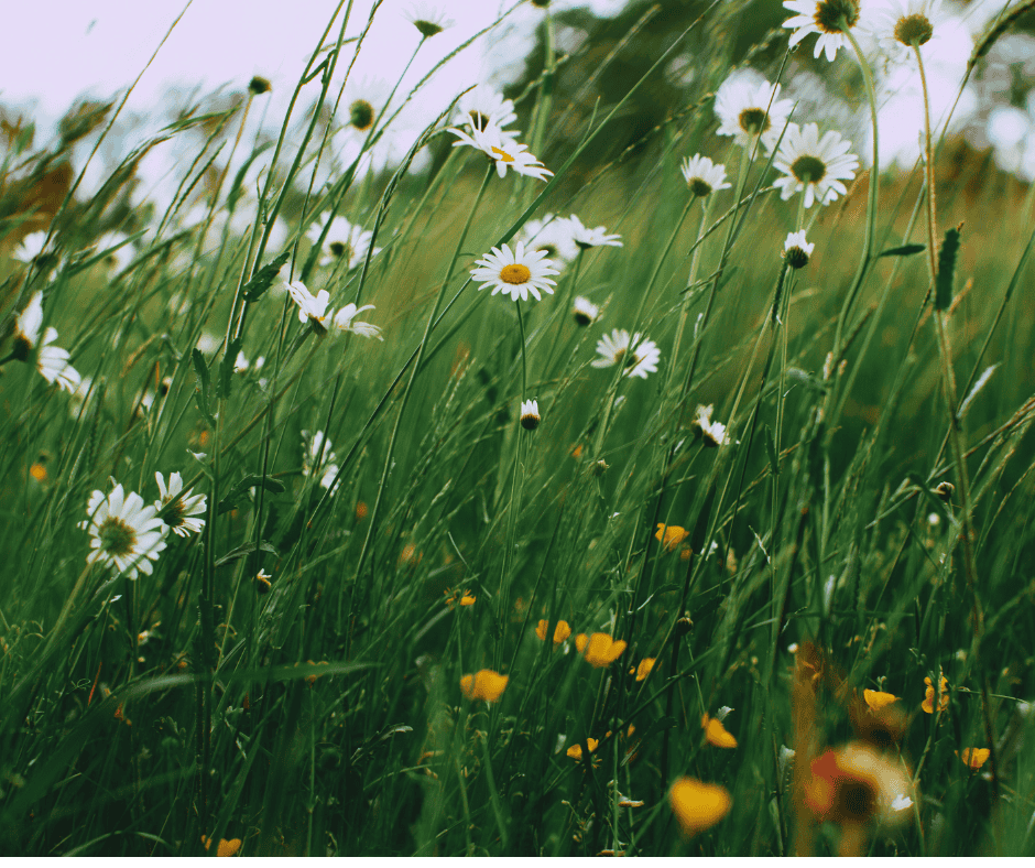 Why Two-Story Homes in Crabapple Always Have a Hot Upstairs One Hour Heating & Air Conditioning Why Two-Story Homes in Crabapple Always Have a Hot Upstairs