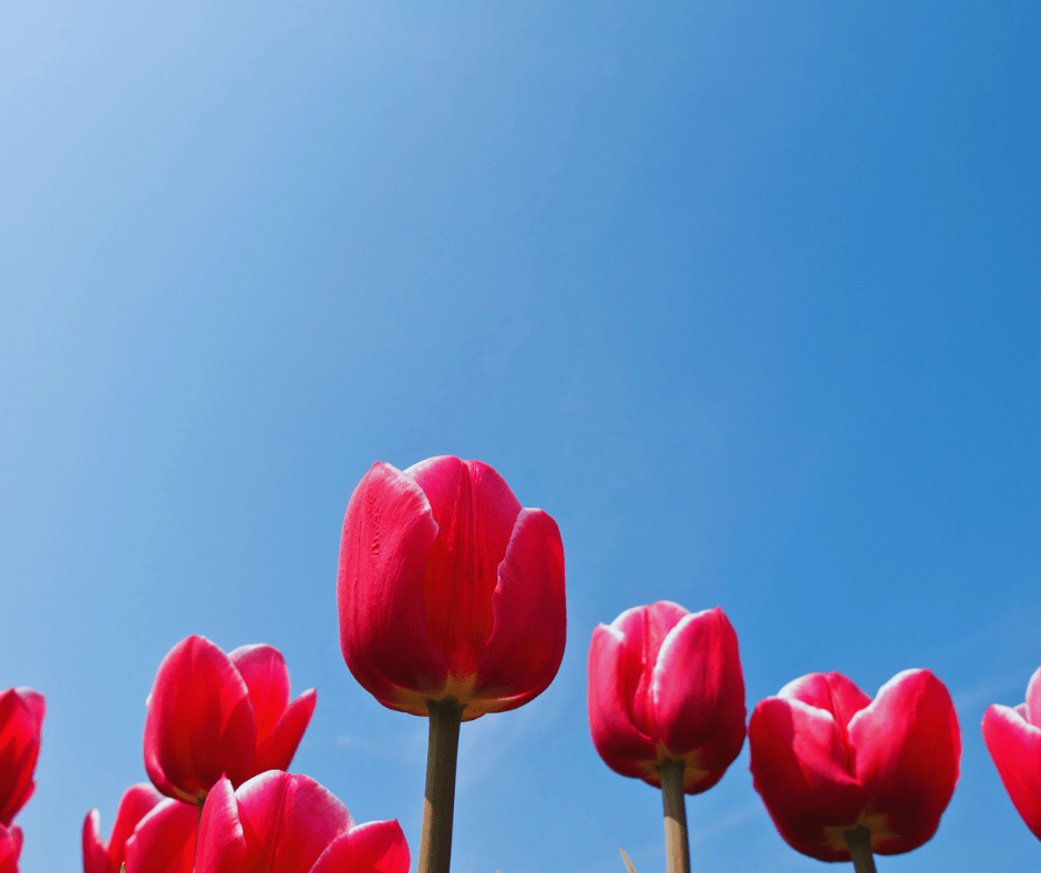 Why Your AC Blows Warm Air