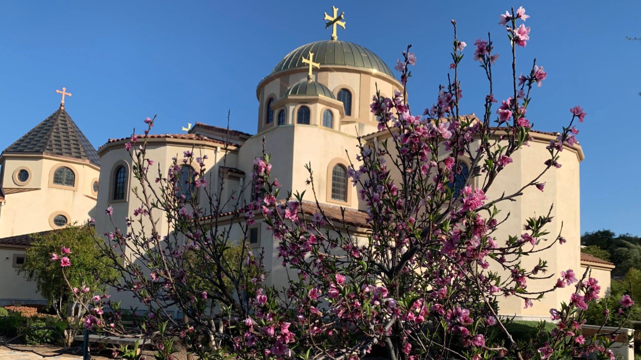 St. Andrew - Image 2