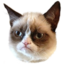 :GrumpyCat: