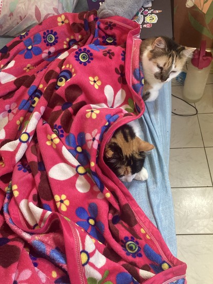 Posted media