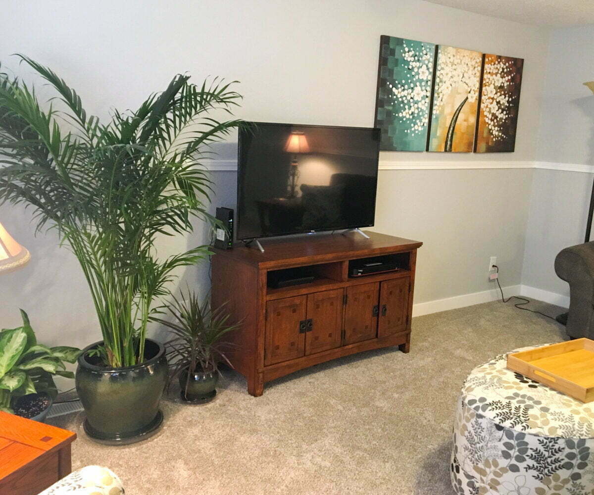 Smart TV in furnished home in Salem, OR.