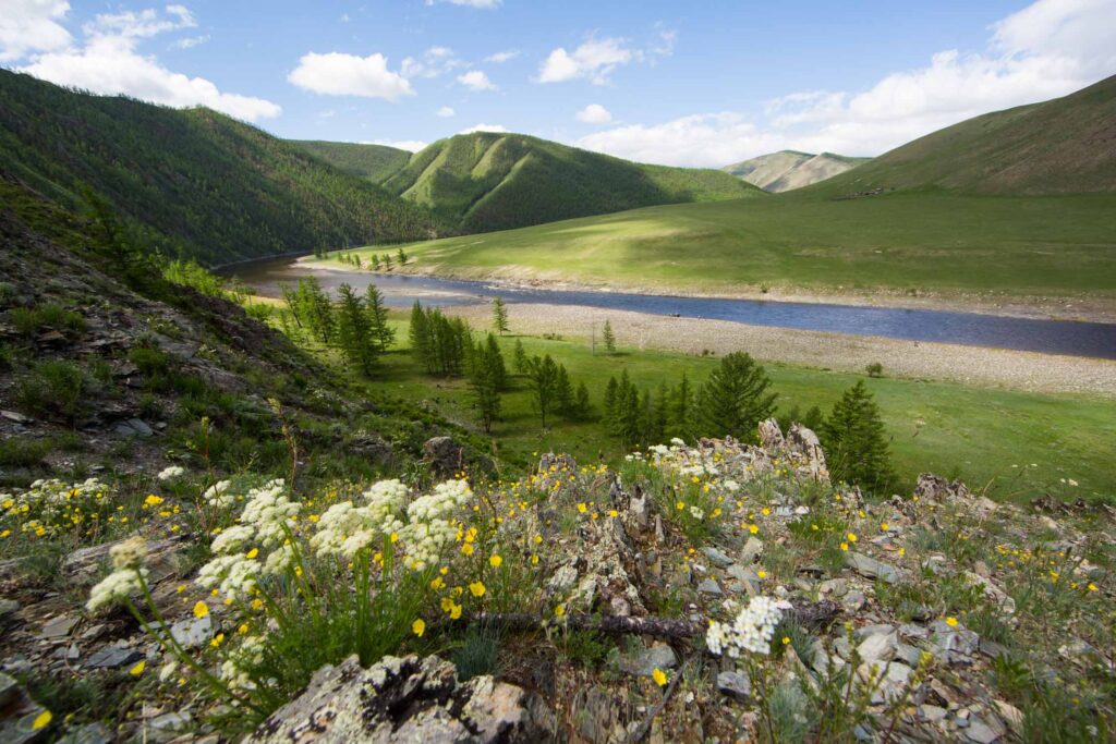 Fly Fishing for Taimen in Mongolia
